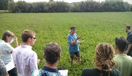 Monitor Farm Monday: Cover crops, inter-cropping and companion cropping - protect, produce and prosper with IPM